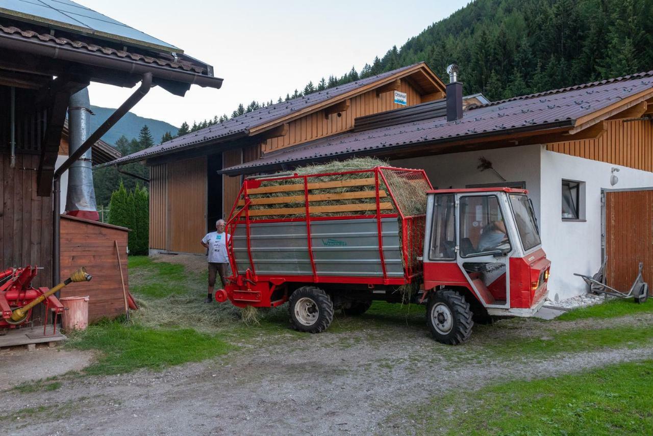 Apartament Ottohof - Feldblick Gossensass-Gossensass-Colle Isarco Zewnętrze zdjęcie